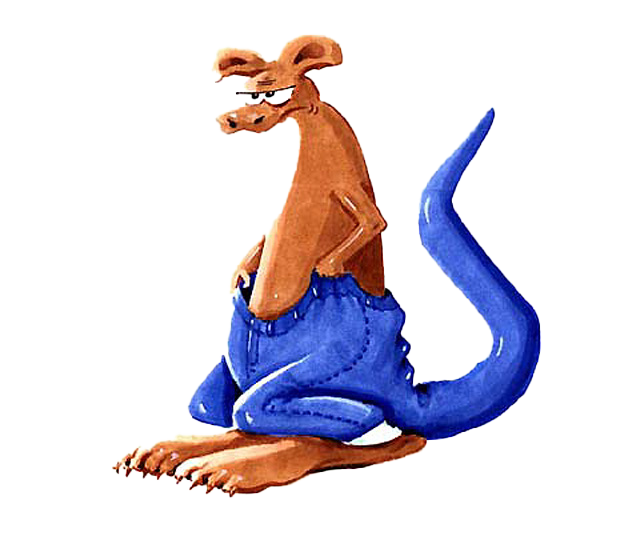kaenguruh, illustration